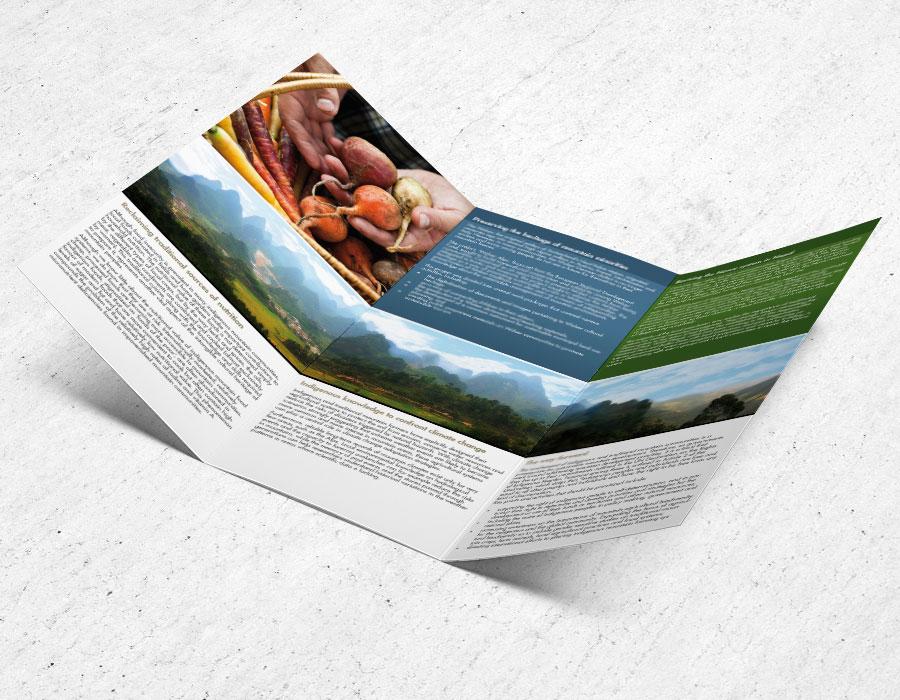 Brochure_02 Brochure_02