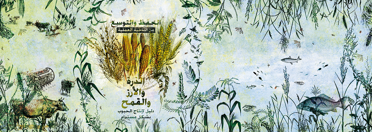 Cover_Book_ARABO Cover_Book_ARABO